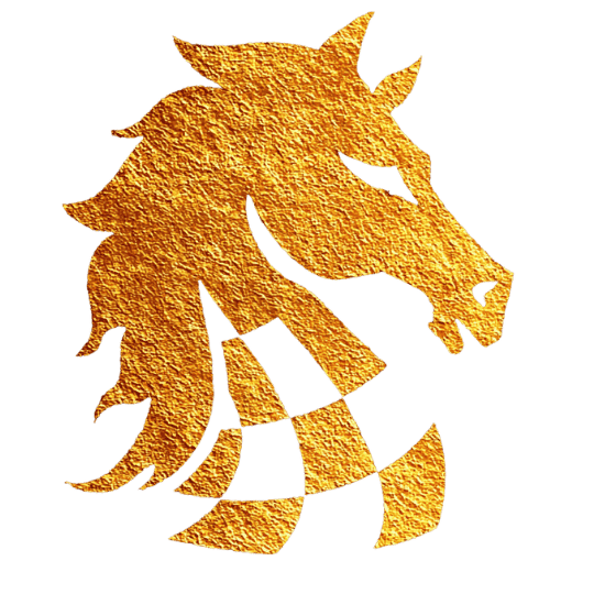 Icon: Kostenfreie Strategieerstellung